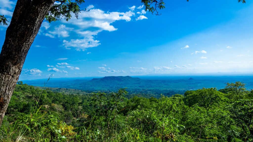 a view of a mountain