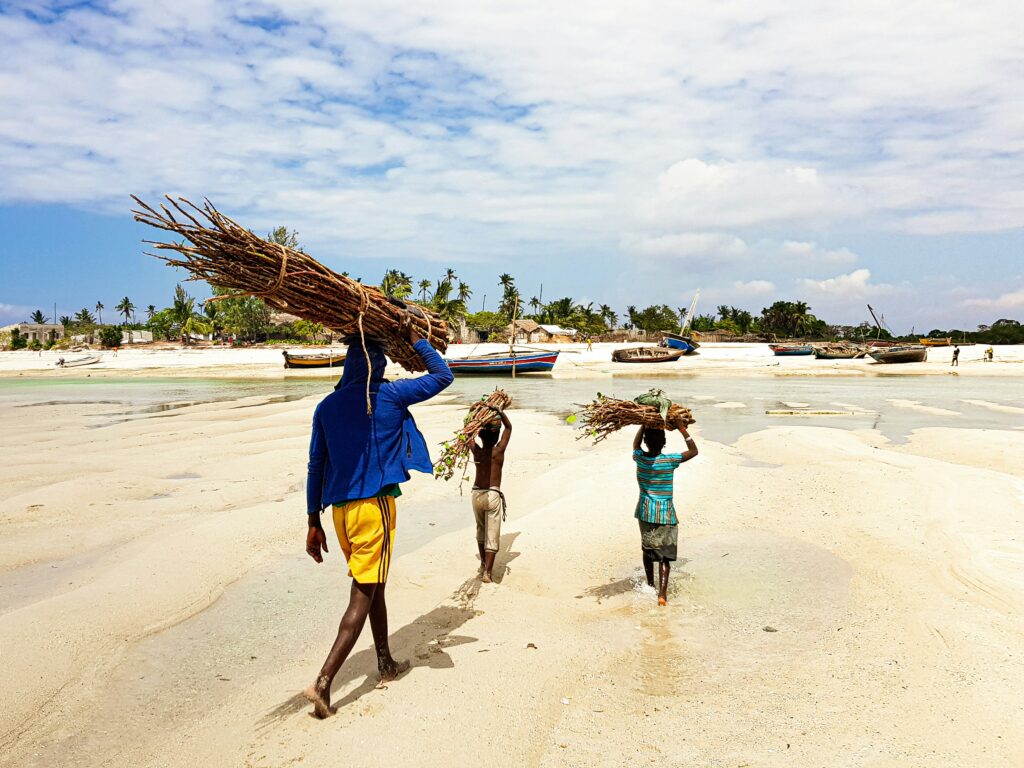Three children with woods on there head